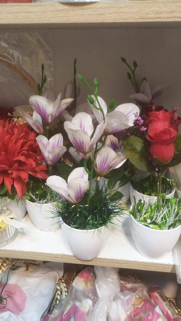 سوق المسقف قرب مجمع آل ياسين 
الفرع الثاني مقابل جاسم ابو مصطفى للعبي النسائيه 
للاستفسار الاتصال بالرقم ***********
بإدارة حسن حبيب ميزي 
توجد خدمة التوصيل مجانا
