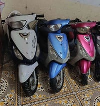 بوشه 50 • سلف كهربا • ماكس منغولي 500