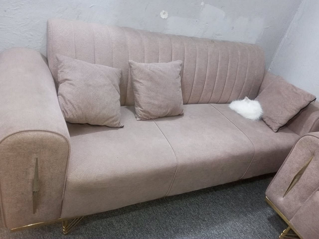 بيع مستعجل كلش 
تخم تسكام عشر نفرات مابي ضرار ب٣٠٠ قفل قفللللل شراي خاص


**إذا كنت صاحب هذا الإعلان وتريد حذفه لأي سبب، رجاءا أرسل رسالة إلى الدعم الفني**