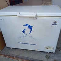 مجمدة • تجميد فول • مقابيل البطاقة الوطنية