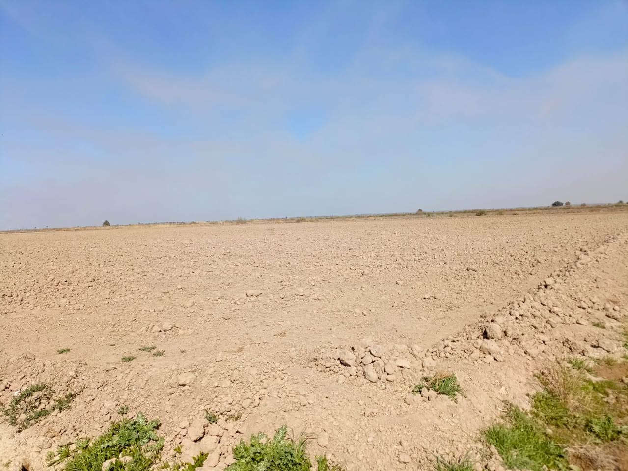 السلام عليكم ارض زراعيه للبيع طابو سند ٢٥ مساحه ١٠٠دونم  في الزبيديه متوفر  فيها كافه الخدمات  مضخه مياه  كهرباء  علئ نهر دجله 40احصان  وقريبه علئ المدارس  
ارض مخدومه  وصالحه للزراعه
لمعرفه بقيه التفاصيل اتصل  او مراسله خاص...
***********
