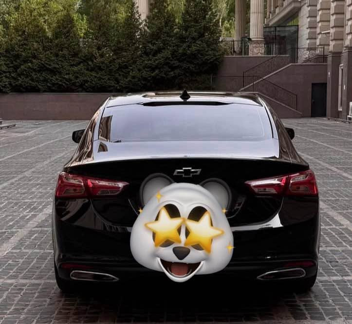 Malibu 2023 🇺🇸 customaized
105000 km 
One-year license
Sadat city  
📲 01120870709 مركز السادات, المنوفية


**إذا كنت صاحب هذا الإعلان وتريد حذفه لأي سبب، رجاءا أرسل رسالة إلى الدعم الفني**
