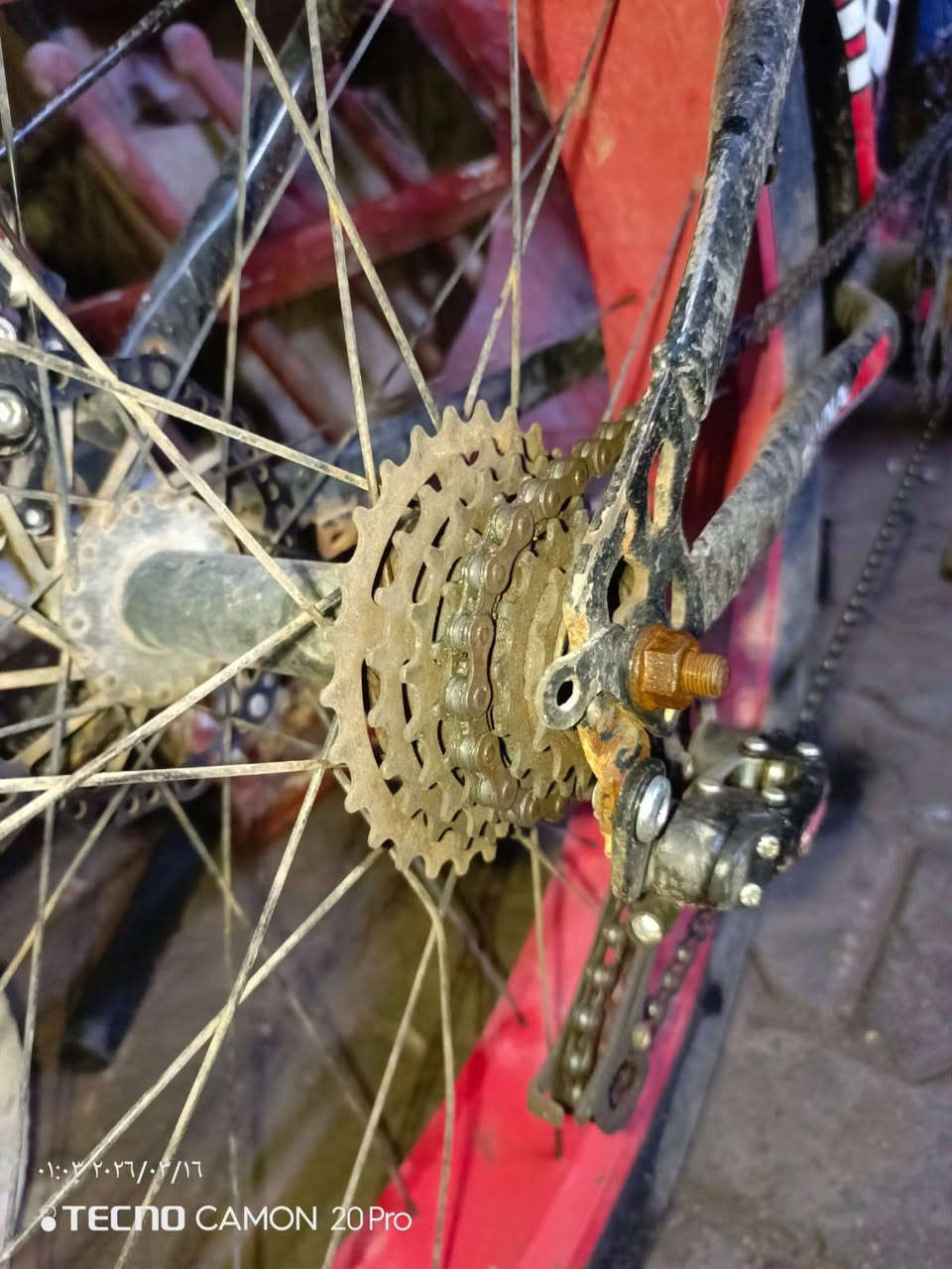 سلام عليكم مكلف بل نشر بايسكل دبابه
6نمر شغالات بريك خليفي امامي شغالات خاص مامتواجد هاذا رقم صاحب البايسكل*********** سعر 100
