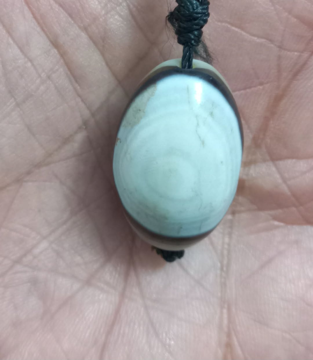 تريد جزع ماكو اخوه وجهين غريب جدا رؤعة الجمال بغداد


**إذا كنت صاحب هذا الإعلان وتريد حذفه لأي سبب، رجاءا أرسل رسالة إلى الدعم الفني**