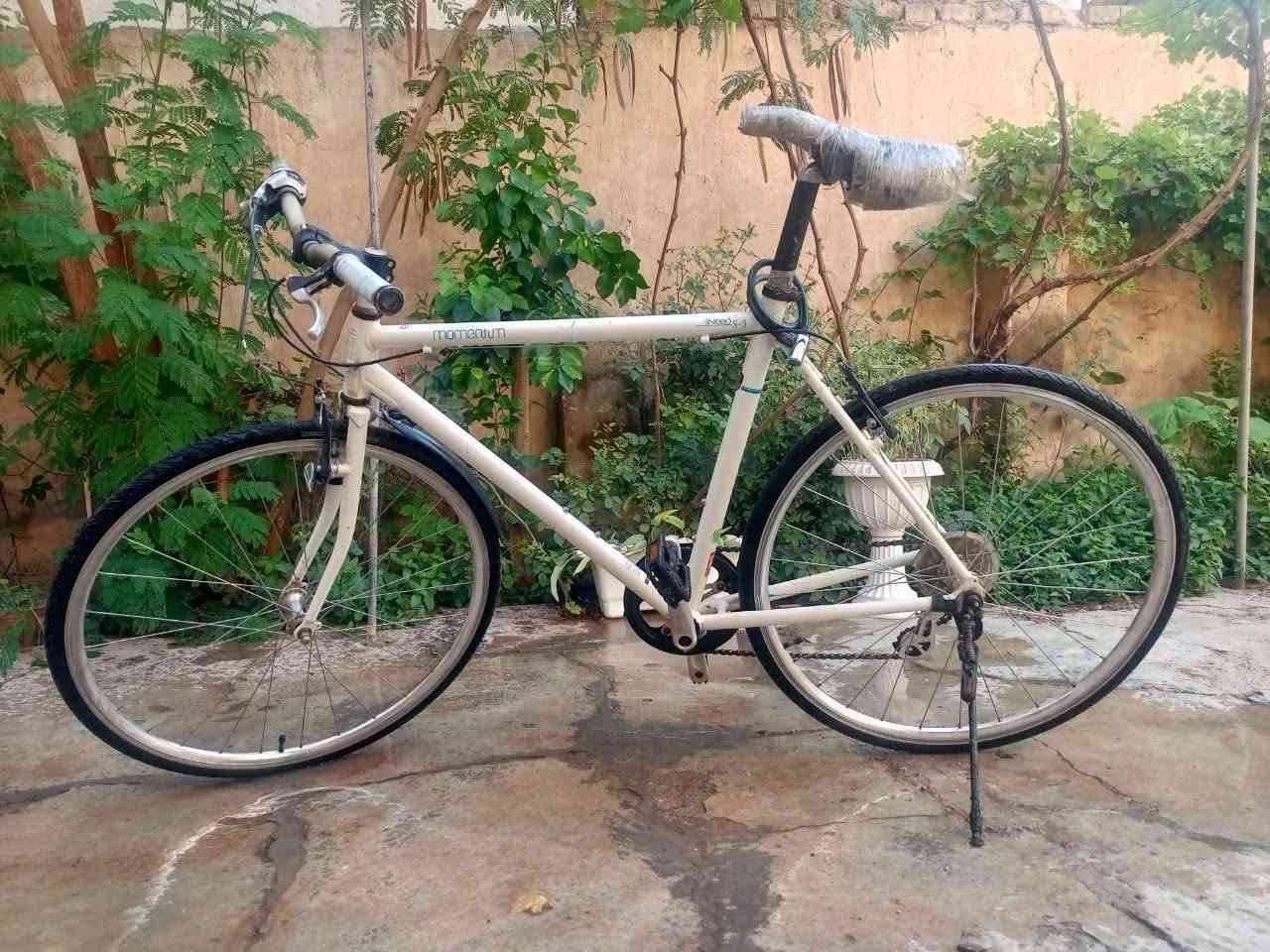 السلام عليكم
بيسكلات عدد 2 للبيع
الابيض ب70 وبي مجال
والاسود ب65وبي مجال 
للاستفسار *********** وتساب فقط
