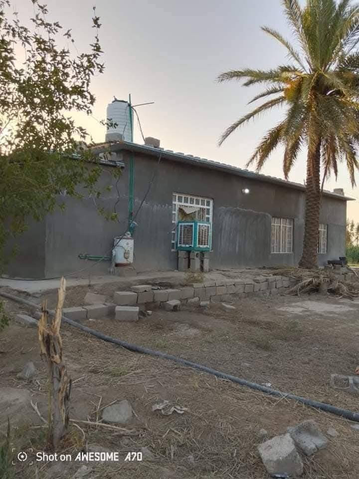 السلام عليكم للبيع دونم مع بيت تبعد عن التبليط 200 متر  المكان فرع المصلخ للاستفسار الاتصال على الرقم ***********
