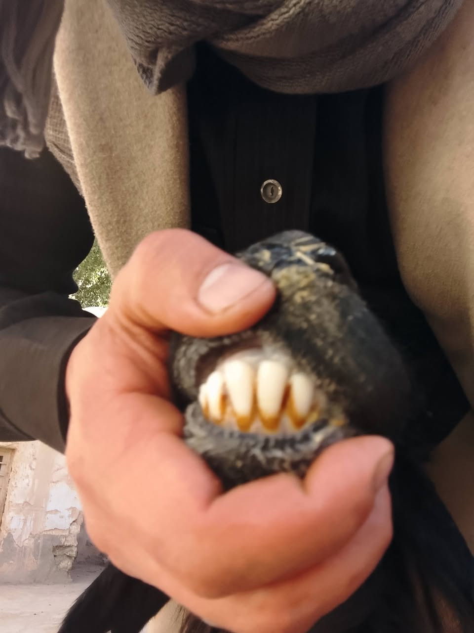 بسم الله
غره اول بطن وراها توم  
مكانه كبيسه
‏‪7809468487‬‏0
السعر ولعمله اتصل او دخل خاص


**إذا كنت صاحب هذا الإعلان وتريد حذفه لأي سبب، رجاءا أرسل رسالة إلى الدعم الفني**