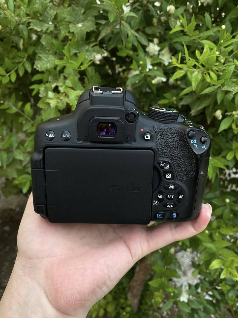 للبيع كامرا كانون 750D الحديثة شاشة لمس قلاب + wifi نضافه موضحة بلصور
ملحقات
عدسه 18-55 استبلايزر مانع اهتزاز
شاحنة
بطاريه
السعر 460 الف وبي مجال للطيبين 
مكان بغداد البنوك 
لايوجد توصيل


**إذا كنت صاحب هذا الإعلان وتريد حذفه لأي سبب، رجاءا أرسل رسالة إلى الدعم الفني**