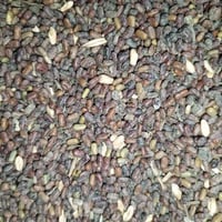 سيسبان للبيع موجود كميه 07813006323