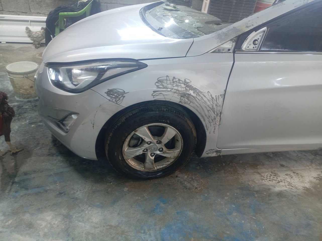 فؤاد الصباغ *********** يوجد واتس
