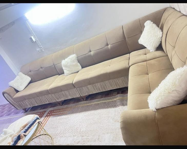 تخم. للبيع. 10. مقاعد.  السعر : ب200. الف اتصال ع رقم : ***********
