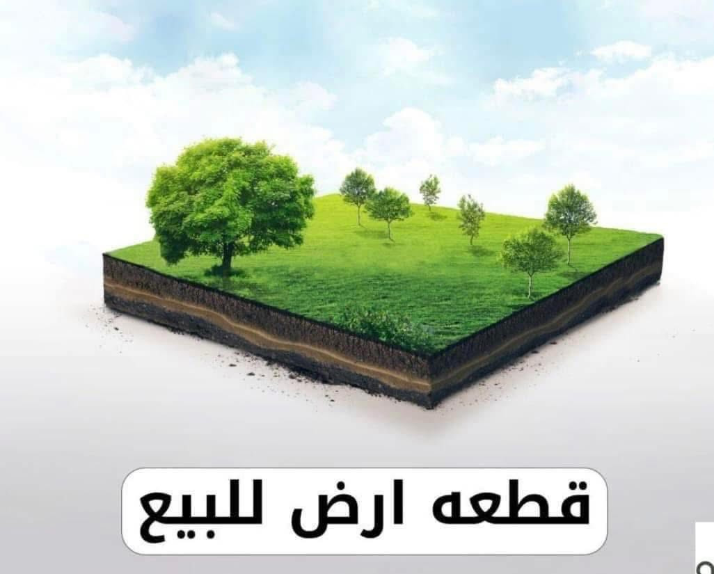 #قطعة ارض للبيع 
#طابو صرف 
#الموقع كركوك حي الجامعه خلف التجاري سايدين النخيل  
#مساحه 200 متر 
#السعر 140 مليون وبي مجال للأستفسار 👇📞
***********
موقع المكتب سايدين النخيل قرب سنتر محمود التجاري .
