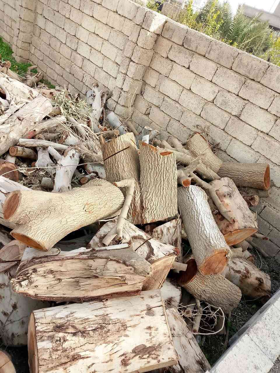 السلام عليكم يوجد خشب  گرامي حمل كيتين سعر الكيه200 وبي مجال***********
***********
