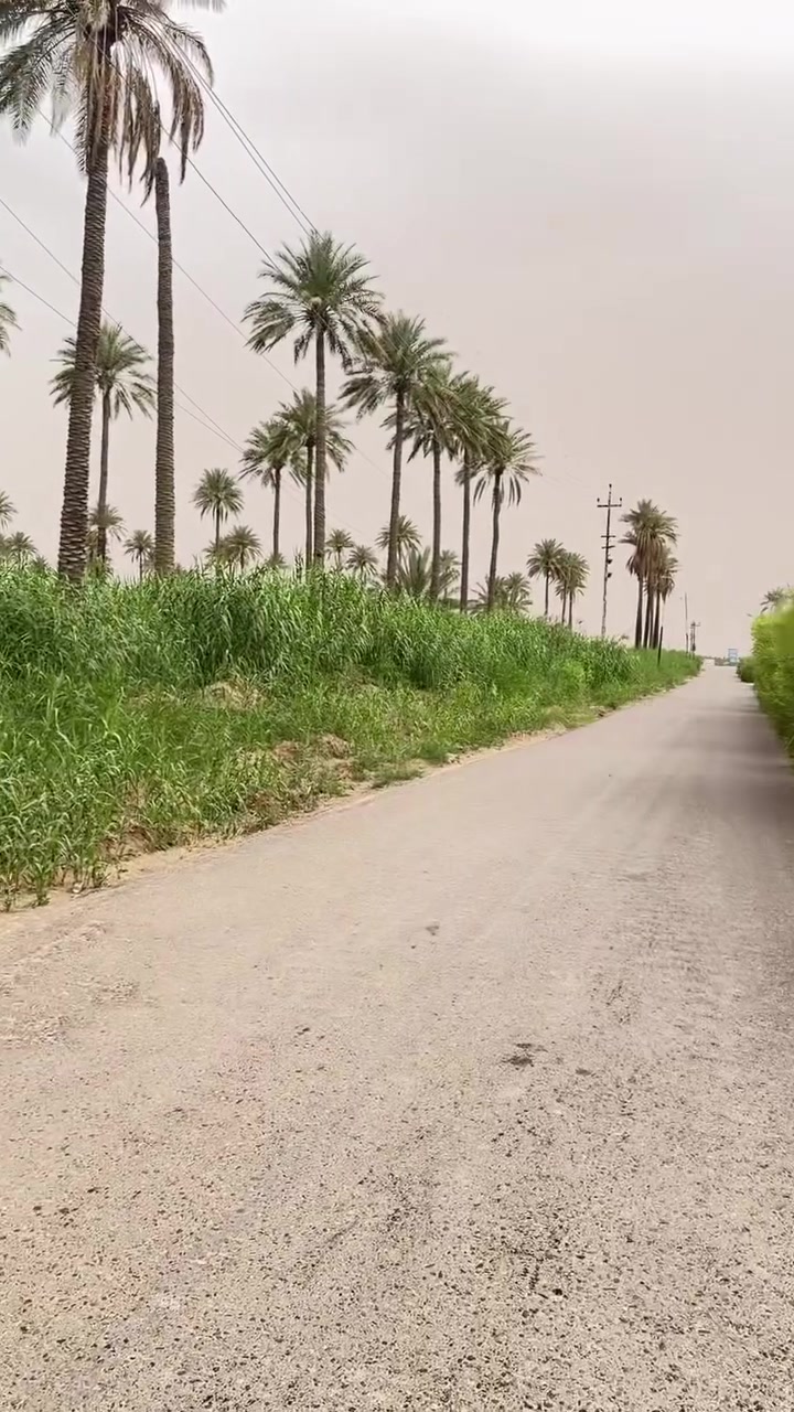 سلام عليكم دونم طابو صرف للبيع العنوان المدائن شارع سيد علي وجه الدونم 60 متر الاستفسار ***********
