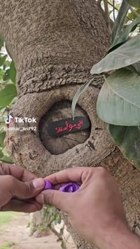 طين اصطناعي • ملون • سوق شهداء سيف سعد