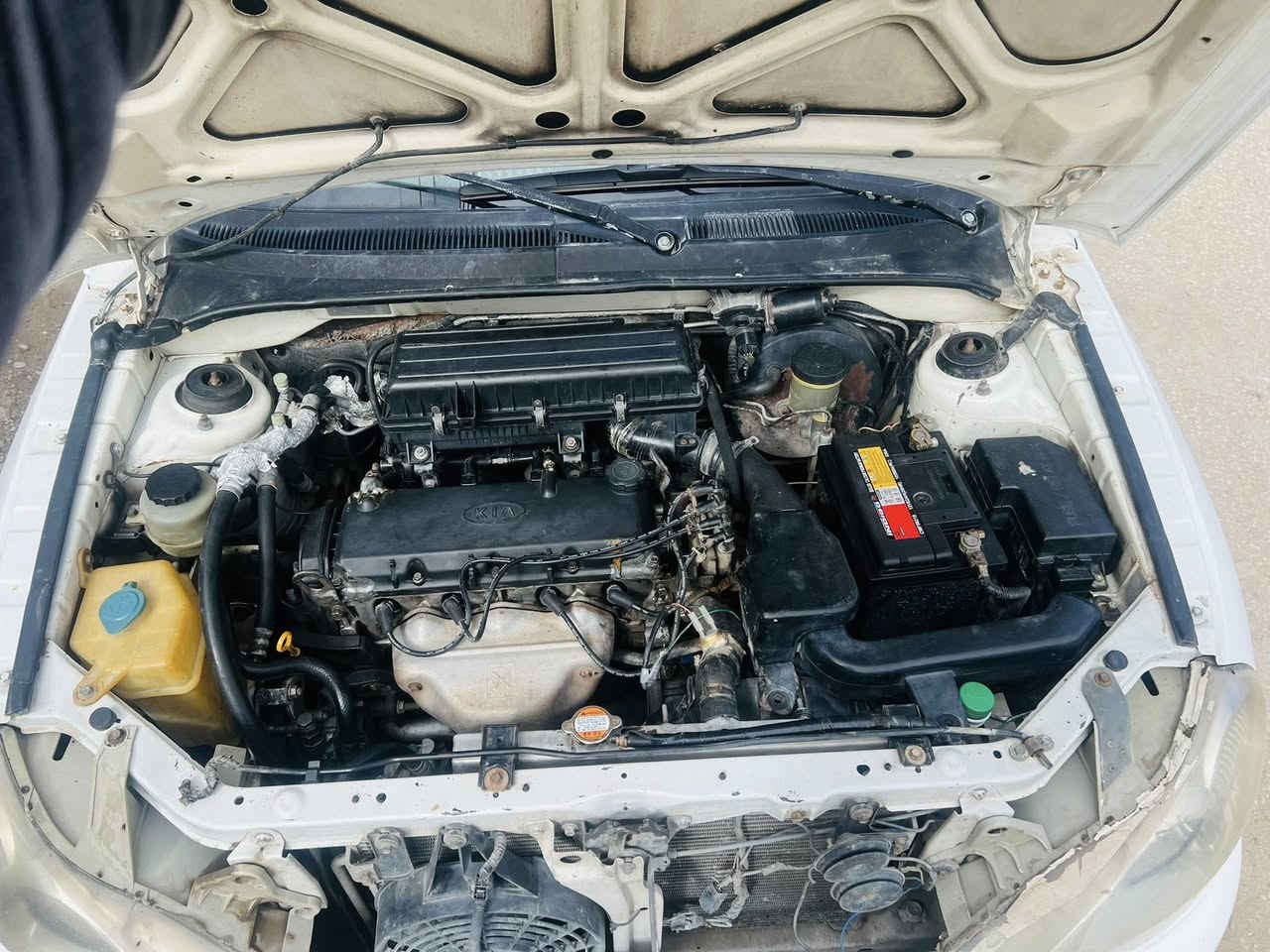 السلام عليكم
ريو هاج باك موديل 2000 سياره حلوة نظيفه ب اسمي هزه جديده سنوية 30 صبغ حزام فقط بدون حادث جهازه من كلشي نقص مشط ستيرن للاستفسار ***********
