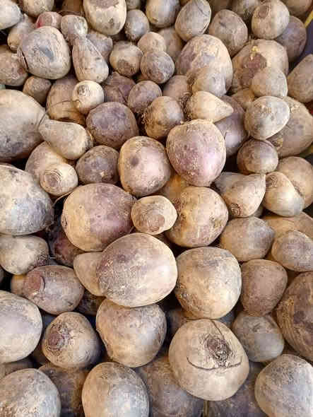 صلو على الحبيب قلبك يطيب

بسم الله ماشاءالله 

خيرات اليوم الاربعاء 2025/11/19

#يوجدلدينا #خدمة #توصيل #كافت #مناطق #ابوغريب

اتصل يوصلك طلبك اباب بيتك

الفرع الاول خرنابات شارع السچه 

***********///***********

#يوجدلدينا #دجاج #ذبح #عراقي

#اسعارنا #اليوم #غير #شكل

بصل صاجي 750 
بصل كرستال 750
بصل حار 750
بصل اخضر 750
اسود عراقي 750
شلغم 750
قرنابيط 750
اشوندر 750
شجر 750
طماطه  750
بطاطا عراقيه 750
لهانه حمرة 750
لهانه خضرة 750
ذرة 🌽عراقيه 750
ركي عراقي 750🍉🍉🍉
اخيار عراقي 1000
فلفل بارد 1000
فلفل حار 1000
فلفل الوان 3000
ثوم  كيس 1000🧄🧄
ثوم مصري كيلو3000🧄🧄
خس عراقي  1000🥬🥬🥬
جزر  1000🥕🥕
اسكله 1000
فاصوليه عراقيه 2000
لوبيا 1500
شمام 1500
كستنه 5000
