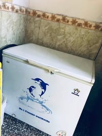 مجمدة • شغاله • مدينه الصدر