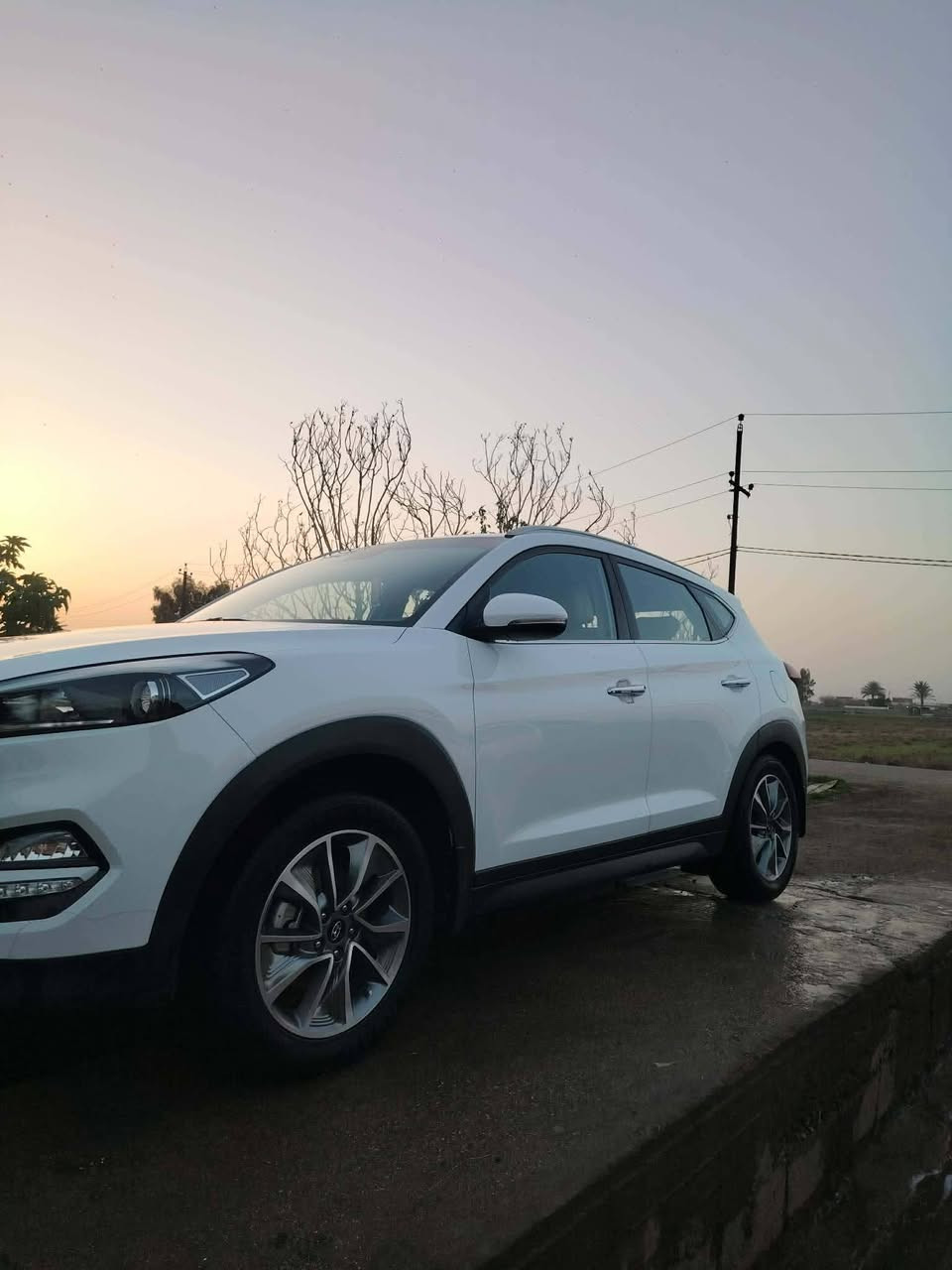 السلام عليكم
توسان خليجي 18 مكفوله كفاله عامه لا ضبغ 
ولا بادر ولا طخه ولا ضربه 
مكاني بغداد
السعر 190
*********** بغداد ابي غريب
