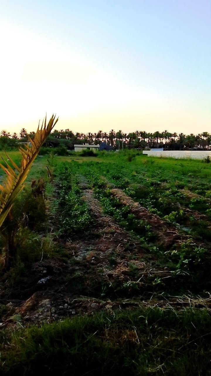 🏠 /دونم ونص للبيع  طابو زراعي  سند25 بأسمي يحتوي على  منزل  /الارض  مسيجه بيارسي ومي سيح من شط الحله نهر خاص بيهن

مزروعات 125 نخله ملون

#تبليط_كهرباء_مجاري وعرض شارع 7امتار 

 

البيت ا الوجهه 16 م / نزال33م بناء حديث طابوك السقف صب كونكريت  مساحه البناء 300 + حديقه300 يساوي المنزل مع الحديقه 600

 البيت  بناء حديث طابوك السكف صب  / مدخل 2م في2م

 مطبخ  حار وبارد /  البارد 5م في 4 

 الحار 3م في 4 م

   ثلاث غرف نوم  5 م في 4 م.

صاله 11م في  4ونص م

  أستقبال  12م في 5م  .

 مجمع صحيات/

 المنزل  ساكن  بيه فقط نقص بياض وسراميك 

كهرباء مجاري كولشي متواجد بلبيت

مقابيل  مدخل الحله البوابه الرئيسيه مقابيل معمل الجمهوري طاقة الكهرباء شارع  الريسي حله بغداد

الاستفسار ***********/  تحياتي للجميع 

#تبليط_كهرباء_مجاري وعرض شارع 7
