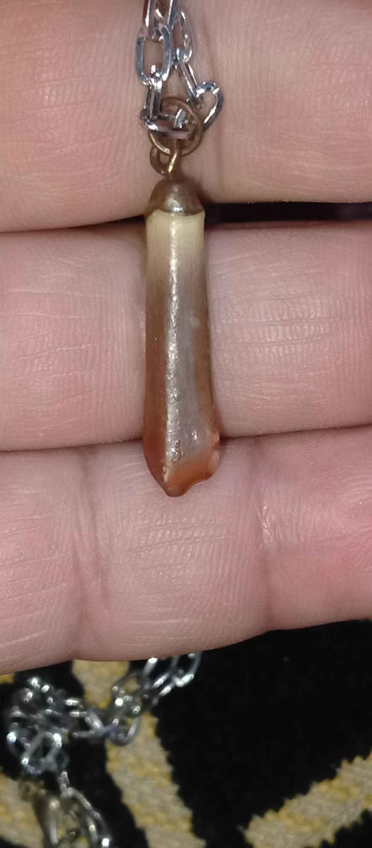 ‎قلادة عطف‎ كربلاء, العراق


**إذا كنت صاحب هذا الإعلان وتريد حذفه لأي سبب، رجاءا أرسل رسالة إلى الدعم الفني**