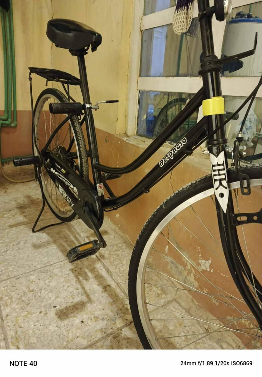 باسكل مديل 19 جاملغاته موجوده 80 وبي مجال قليل
ناقصه بس تصفيه للويل)مكاني نجف شارع كربلا عامود 83 ***********
