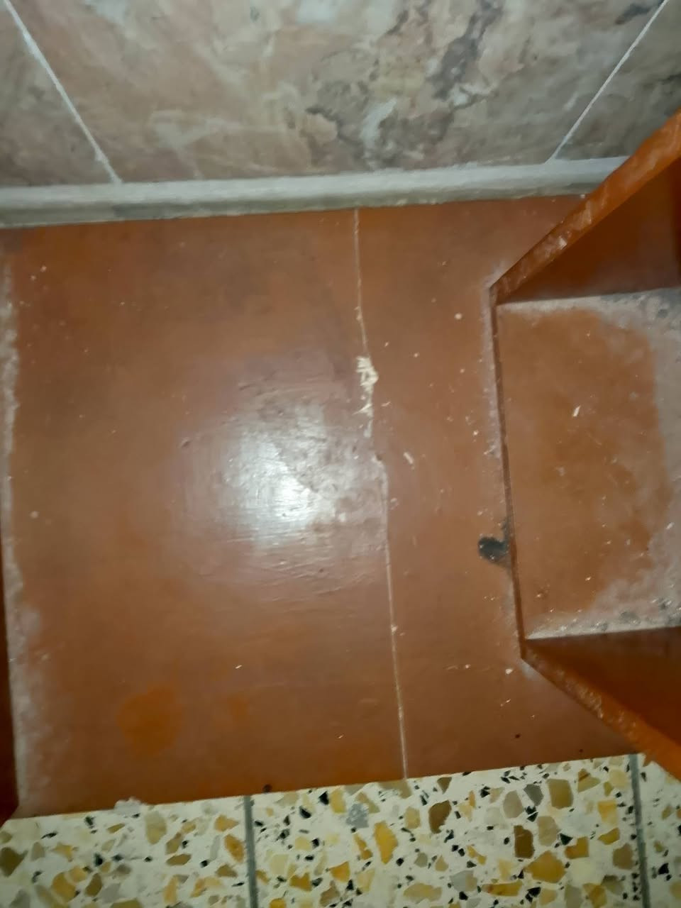 مصلاية بيهة كسر مثل مموضح بلصوره السعر 20


**إذا كنت صاحب هذا الإعلان وتريد حذفه لأي سبب، رجاءا أرسل رسالة إلى الدعم الفني**