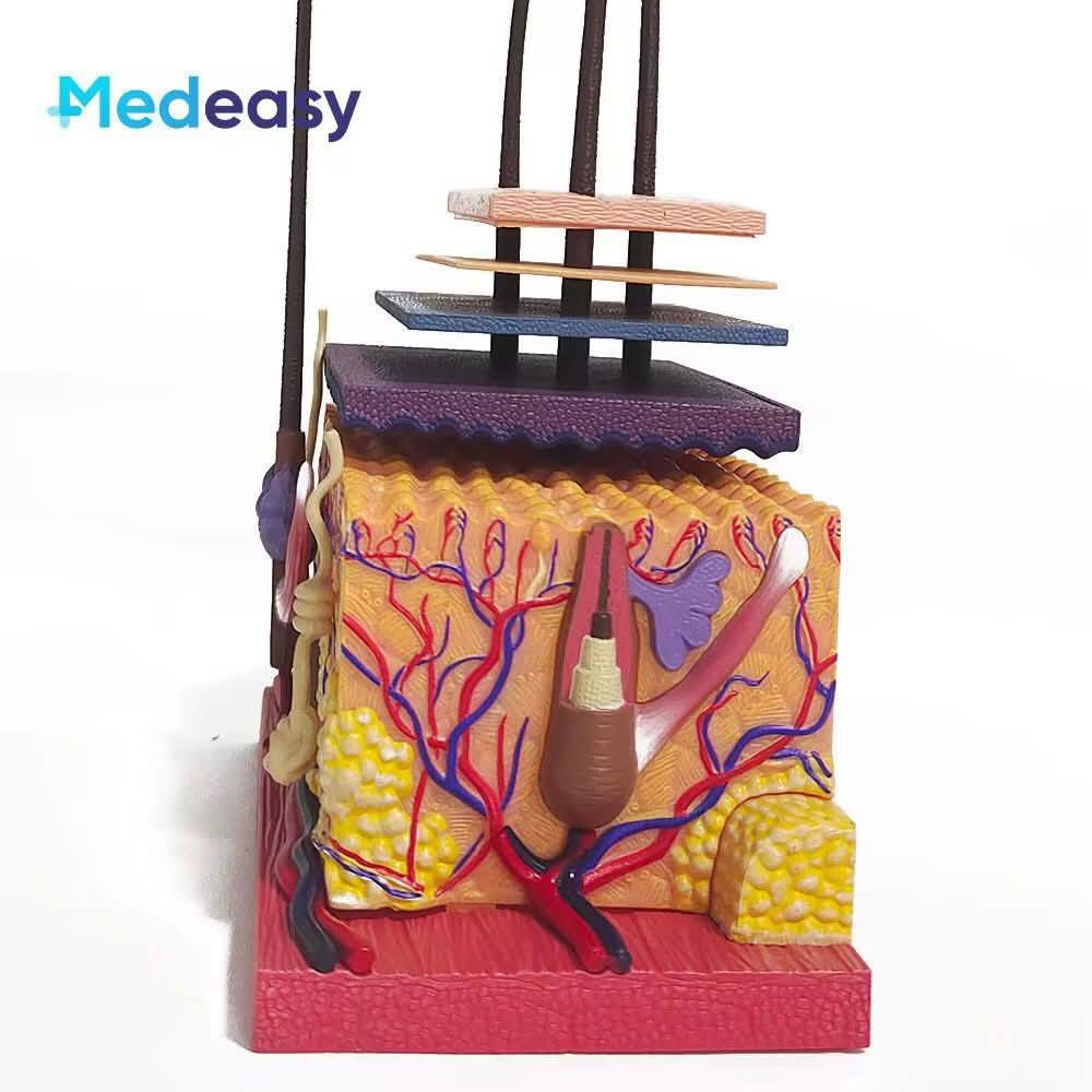 هاذا تعليمي يخص الطلاب خلونة سعر وبالعافية


**إذا كنت صاحب هذا الإعلان وتريد حذفه لأي سبب، رجاءا أرسل رسالة إلى الدعم الفني**