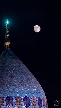 كوت حي الجهاد • النجف الاشرف • مبيت بكربلاء