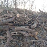 خشب للبيع 07721208062