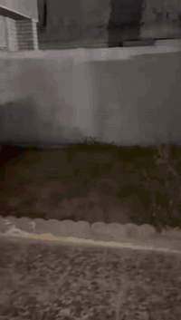 الوادي • ٢٠٠م • غرفتين