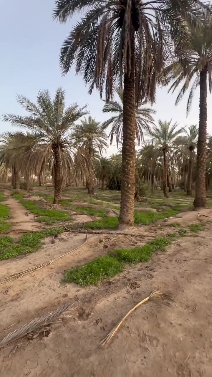 السلام عليكم ورحمة الله وبركاته

📍 للبيع – أرض بمساحة دونم

* المساحة: دونم كامل
* السند: ملك صرف (سند 25)
* الموقع: الفحامة – قرب الجزيرة السياحية
* موقع مميز وقريب يصلح للاستثمار .
* الواجه ٥٨ نزال ٣٨
للاستفسار ومعرفة التفاصيل، يرجى التواصل على الخاص أو الاتصال. ***********
