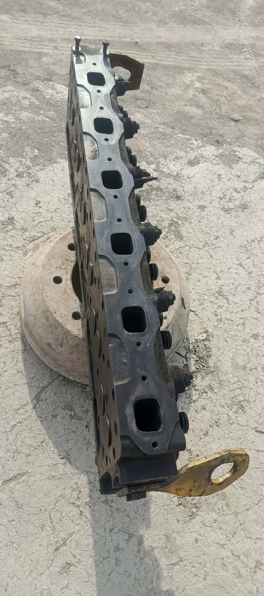 سلام عليكم بم ونوزل جدد + كاور ابو البليتة جديد للبيع ***********
