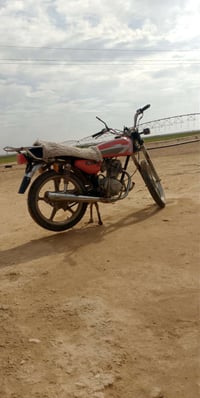 للبيع 2019 250 07886271902