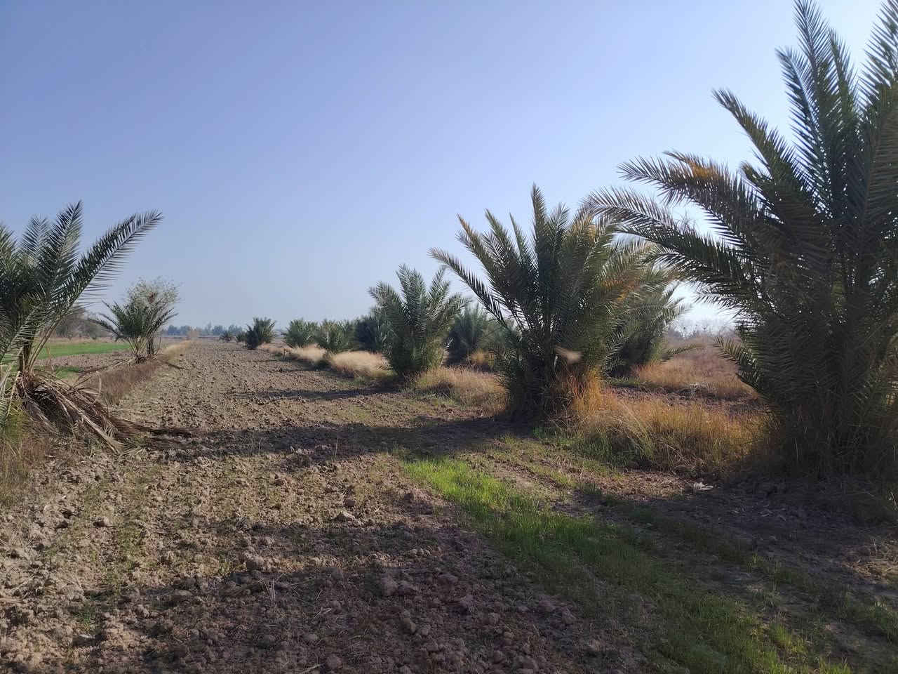 11 دونم لبيع طريق السنية قرب معمل الزفت قبلا تعبر الشط قابلة لسكن ***********
