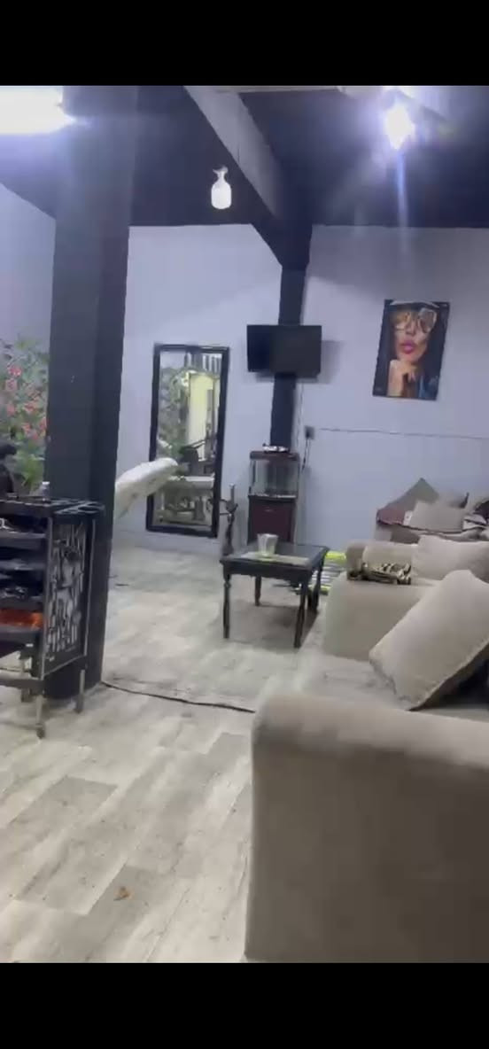 افتتاح دوره حلاقه في حي عسكري بسعر مناسب تتعلم اقل من شهر تفتح محل كركوك, العراق


**إذا كنت صاحب هذا الإعلان وتريد حذفه لأي سبب، رجاءا أرسل رسالة إلى الدعم الفني**