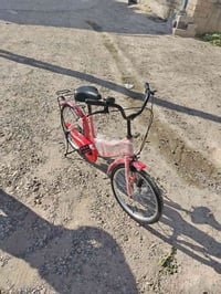 باسكل • حجم ٢٠ • قابل تفاوض