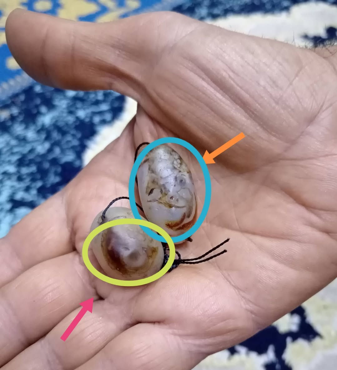 سلام عليكم زوج سليماني نثيه وفحل قديمات شغالات للبيع سعره وتفاصيل خاص وتدلل مكاني بغداد
مدينه الصدر لا يوجد توصيل ***********
