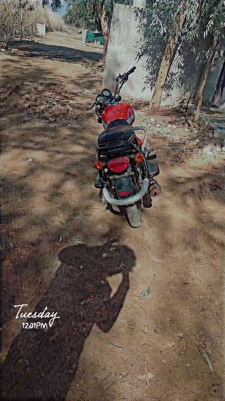 سلام عليكم عندي دراجه دايون نفخ موديل 2020وراق صولي دراجه بيها خيط بخار ستوه بادي سعر 950وبيها مجال ***********
تصل ودلل عمري حياكم الله
