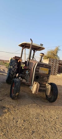 فوركسن نكليزي • حجم ٢٩٠ • رقم وسنويه