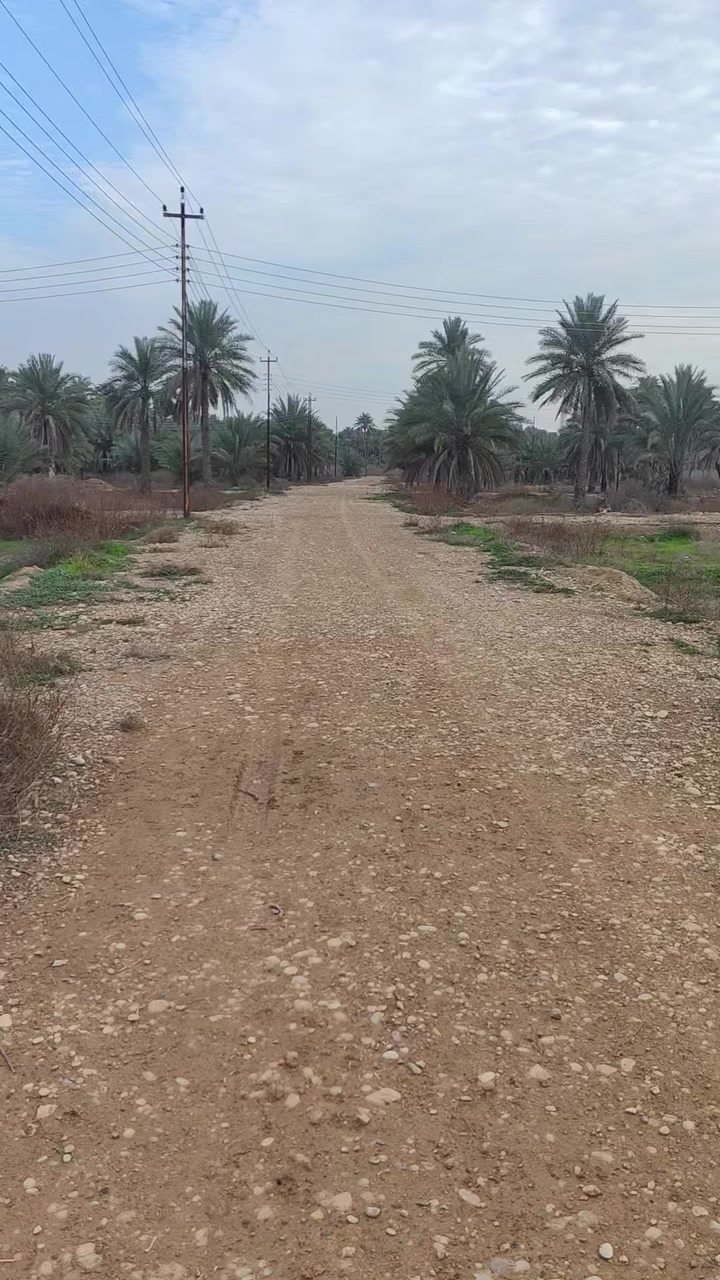 للبيع قطع أراضي طابو زراعي ٢٥ في منطقه السبتيه يم الملعب ماء كهرباء، مجاري مدارس تقطيع حسب الطلب معروض في مكتب النوارس للعقار اي استفسار راسلني خاص ***********
