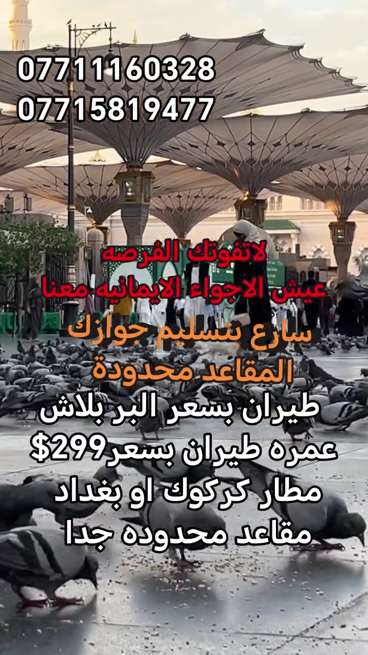 🕋🔥 العمرة صارت ببلاش! 299$طيران 🔥🕋
💥 تفليش أسعار عمرة شهر محرم 1448هـ 💥

🥇 العزيزية الشمالية 
💵 299$ فقط 
✈️ طيران ذهاب وعودة

🥈 محبس الجن – جهة المقابلة 
💵 350$ فقط 
✈️ طيران ذهاب وعودة

🥉 محبس الجن – جهة السقائف 
💵 375$ فقط 
✈️ طيران ذهاب وعودة
━━━━━━━━━━━━━━━━━━
🌟 خدمات متكاملة لراحة المعتمر 🌟
✅ تأشيرة العمرة
✅ تذكرة طيران ذهاب وعودة 
✅ استقبال وتوديع في المطارات 
✅ حجز فندقي مريح 
✅ نقل وتنقلات حديثة ومكيفة 
✅ مشرف مرافق طوال الرحلة 
✅ متابعة مستمرة وخدمة على مدار الساعة 
✅ هدايه للمعتمرر 
✅ تسهيل إجراءات الدخول والخروج 
✅ زيارة المزارات حسب البرنامج 
✅ إرشادات ونصائح للمعتمرين 
✅ الاهتمام بكبار السن ومساعدتهم 
✅ تنظيم كامل للرحلة من الانطلاق حتى العودة 
✅ أجواء إيمانية مريحة وآمنة
━━━━━━━━━━━━━━━━━━
✈️ الانطلاق من: 📍 مطار الموصل الدولي 📍 مطار بغداد الدولي 📍 مطار كركوك الدولي

🚨 المقاعد محدودة جداً جداً 🚨 
⏳ الحجز بأسبقية تسليم الجواز فقط

📍 العبوش للحج والعمرة والخدمات العامة الموصل – حي فلسطين قرب جامع طه رشان مجاور روضة جنى

للحجز والاستفسار واتساب او الاتصال 
📞 ***********
 📞 *********** 
📞 ***********

🕋 اغتنم فرصة زيارة بيت الله الحرام بأقل الأسعار وأفضل الخدمات، واحجز مقعدك قبل اكتمال العدد.
@أبرز المعجبين

