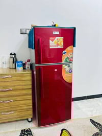 شغالات • بخبرة • ميسان