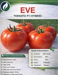 طماطم هجين EVE F1 التايلندي للإنتاج الغزير والمبكر   مواصفات الصنف: * ...