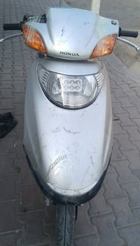 سبيسي ياباني • ١٠٠ سي سي • أوراق