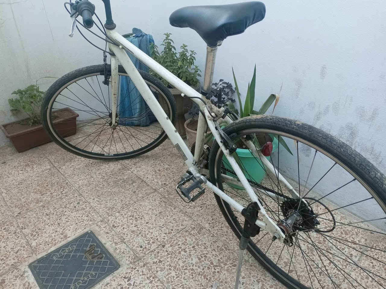 بايسكل c700
الحجم 27
السعر 80


**إذا كنت صاحب هذا الإعلان وتريد حذفه لأي سبب، رجاءا أرسل رسالة إلى الدعم الفني**