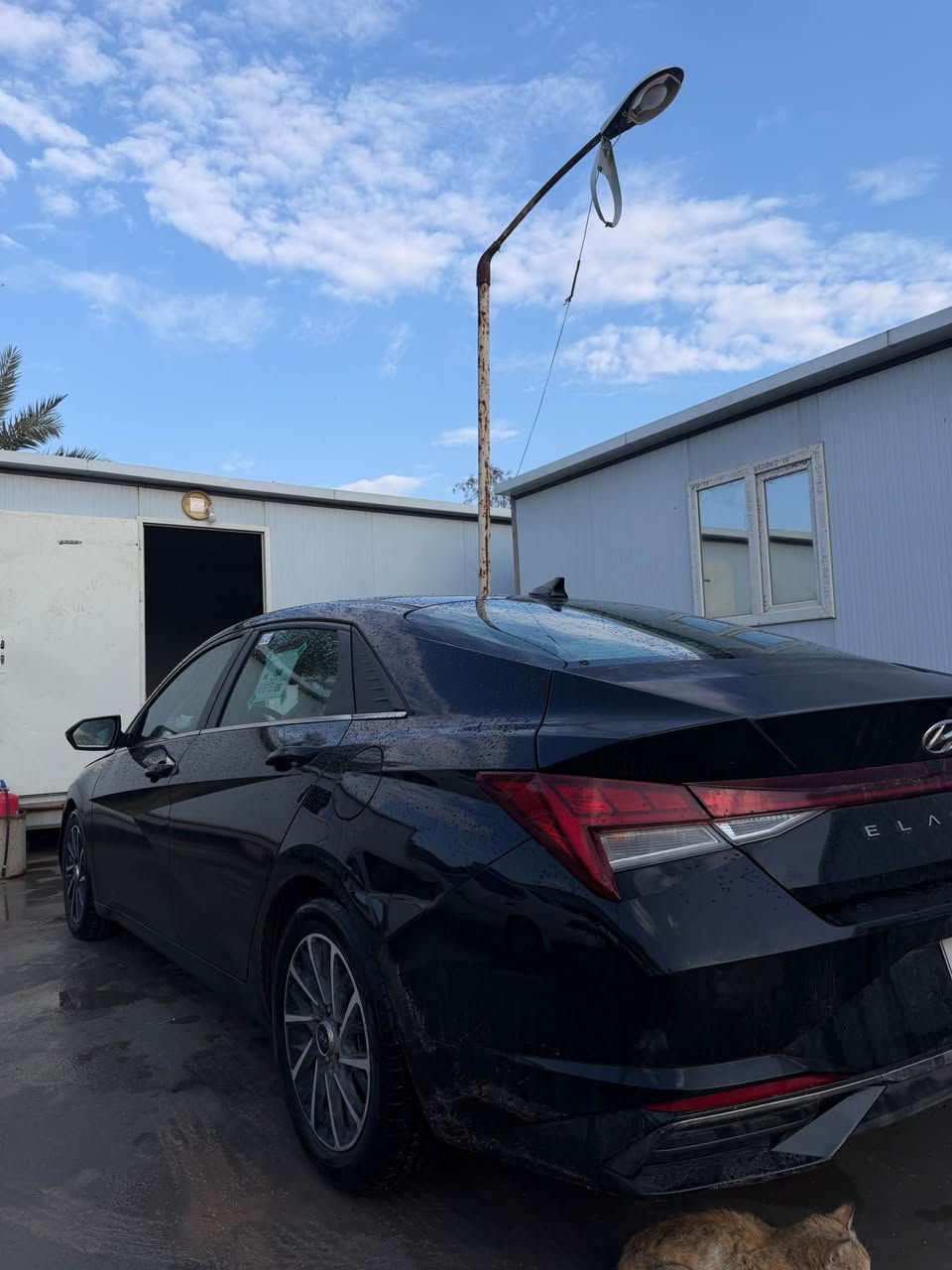 النترا للبيع موديل 21  محرك 2000  فل  مواصفات دوش ما مفتوح رقم أربيل سنوية لل٢٧ السياره حادثها جاملغ مبدل تجاري وصبغ نص البنيد فقط بس ابيعلك قطعتين صبغ بدون ايرباك بدون دواخل لا شواصي ولا لغد السياره جديدة كلش ماشيه تقريبا 65ميل 
:- ***********
‏🔸شاشة 
‏🔸بصمة تشغيل  
‏🔸بصمة أبواب 
‏🔸بصمة صندوق  
‏🔸تشغيل عن بعد 
‏🔸رادار امامي رادار خلفي وجانبي 
‏🔸مانع تصادم بريك ذكي  
‏🔸مدخلين شحن واوكس وشحن لاسلكي
‏🔸كاميرا خلفية دوارة 
‏🔸مانع تصادم 💥  
‏🔸حساسات اطارات  
‏🔸مثبت سرعه Cross 
‏🔸اضوية اماميه LED زنون  
‏🔸نضام ترحيب عند الاقتراب  
‏🔸مانع انزلاق    
‏🔸دخول ذكي  
‏🔸نظام قيادة ذاتية  
‏🔸نظام GPS + خرائط  
‏🔸3 أنظمة قيادة (eco,Nor, sport)  
‏🔸شاشة اعطال الكترونية  
‏🔸زر عرض الكاميرا 
‏🔸منفذ شحن 
‏🔸تحكم ستيرن
السعر 145 وبيها مجال للطيبين
*********** البصرة, العراق
