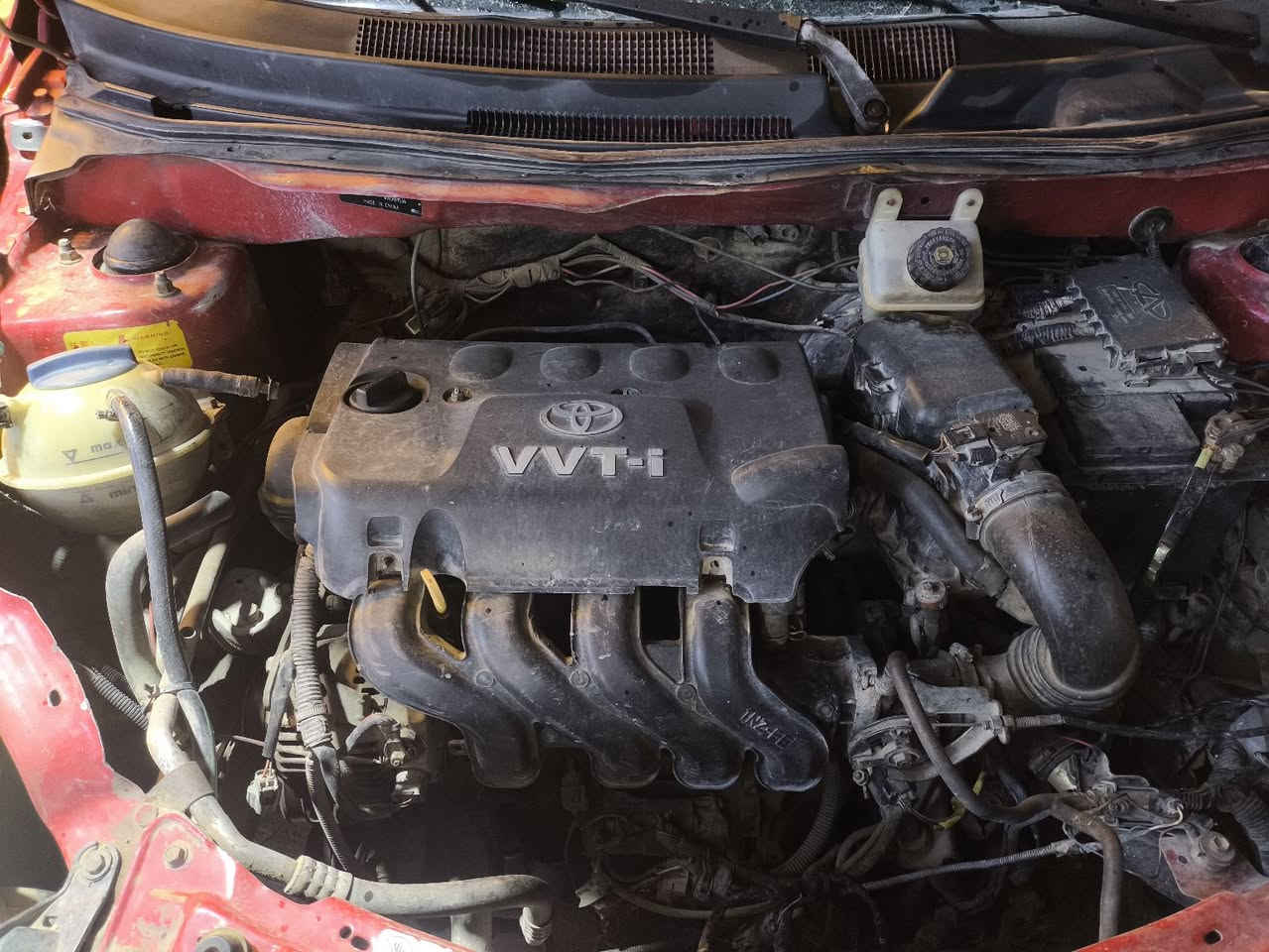 سلام عليكم شيري فلاوين موديل 2013 

العنوان :ميسان مكفوله من الضربة عوزه ملاحضات بسيطة السياره اوتماتيك 
 
السعر :32 بيهه مجال قليل 
متواجد علا رقم الخاص 
*********** عمارة, ميسان
