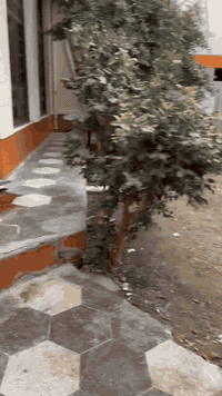 منطقة الزراعة • ٢٥٠م • ٥غرف