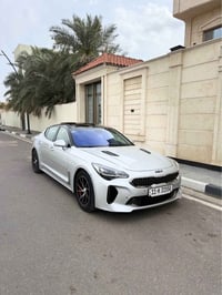 كيا ستنكر • ٢٠١٨ • ٥٣٠٠٠ كم